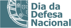 ddn logo